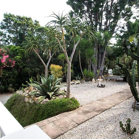 South Villa Guesthouse&Garden Книсна Екстериор снимка